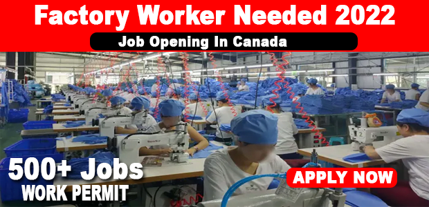 Factory Worker In Canada 2022