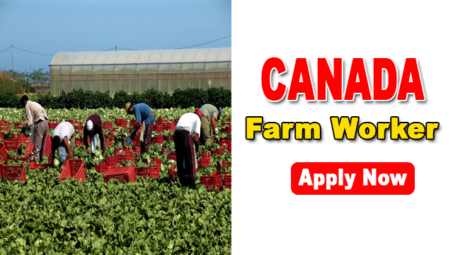Farm Worker Job In Canada