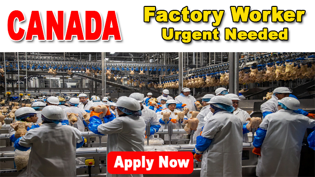 Factory Worker Job In Canada