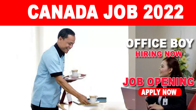 Office Boy Job In Canada