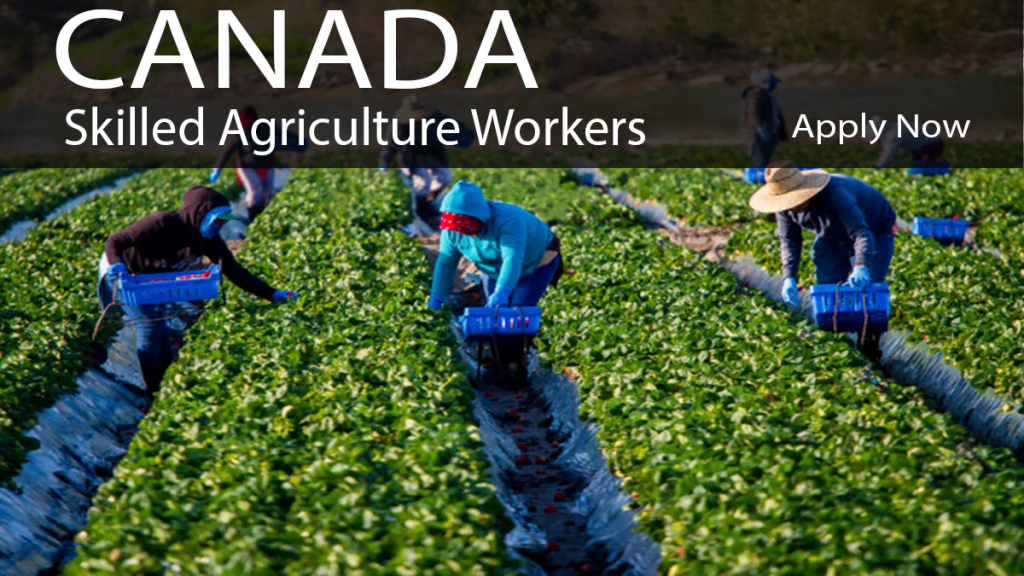 Skilled Agricultural Jobs In Canada For Foreigners 2022 Apply Now