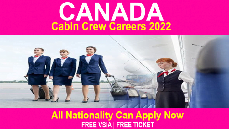 Latest Jobs In Canada For Cabin Crew Apply Online For Freshers 2022
