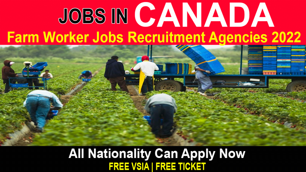 Farm Worker Recruitment Job Agencies In Canada For Free Visa With Accommodation 2022 Apply Online